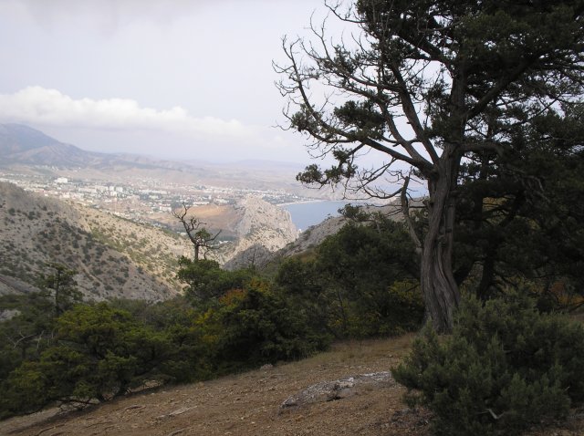 P1010005.JPG