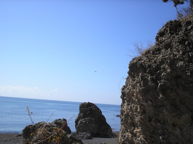P1010154.JPG